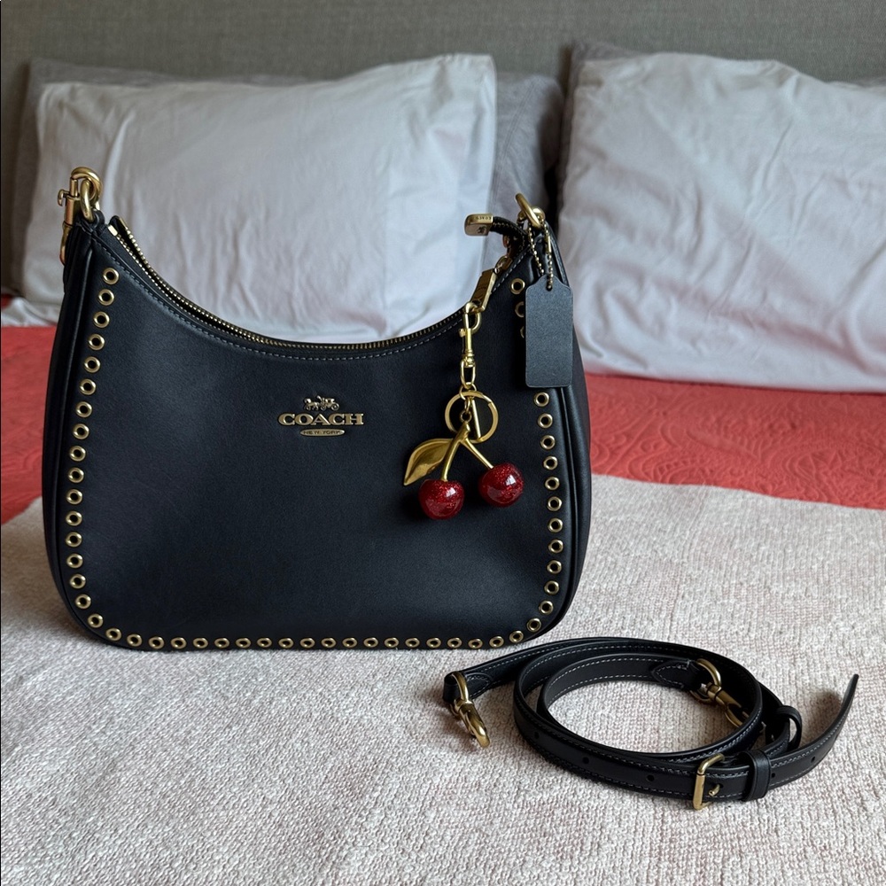 Teri Hobo bag